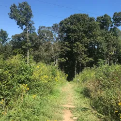 Raven Run Nature Sanctuary - Lexington