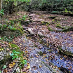 Raven Run Nature Sanctuary - Lexington