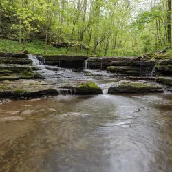 Raven Run Nature Sanctuary - Lexington