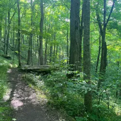 Raven Run Nature Sanctuary - Lexington