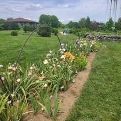 The Arboretum, State Botanical Garden of Kentucky - Lexington