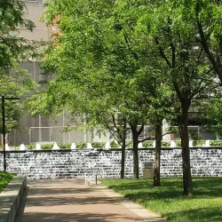 Triangle Park - Lexington