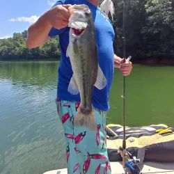 Laurel River Lake - London