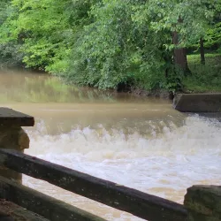 Levi Jackson Wilderness Road State Park - London