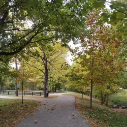 London Community Park - London