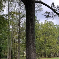 London Community Park - London