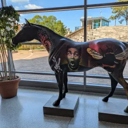 Muhammad Ali Center - Louisville