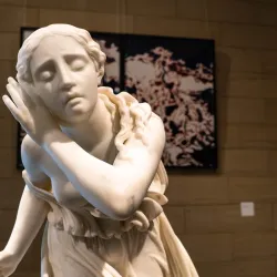 Speed Art Museum - Louisville