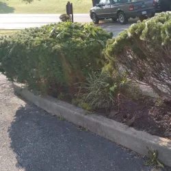 Maysville Country Club - Maysville