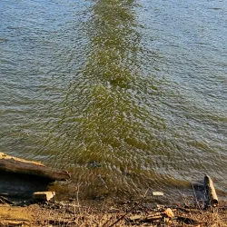 Simon Kenton Memorial Bridge - Maysville