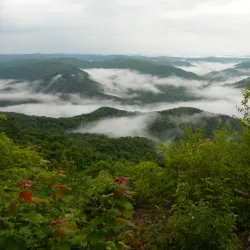 Little Shepherd Trail - Middlesborough