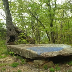 Little Shepherd Trail - Middlesborough