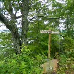 Little Shepherd Trail - Middlesborough