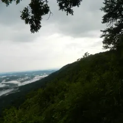 Little Shepherd Trail - Middlesborough