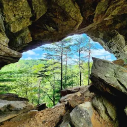 Daniel Boone National Forest - Morehead