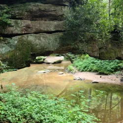 Daniel Boone National Forest - Morehead