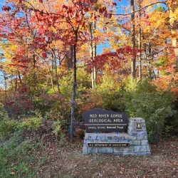 Daniel Boone National Forest - Morehead
