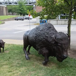 Limestone Park - Morehead