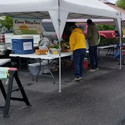 Nicholasville Farmers Market - Nicholasville