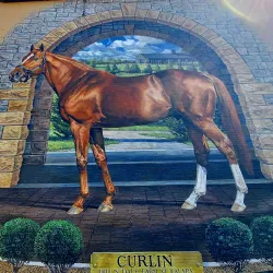 Eiffel Tower - Paris