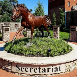 Eiffel Tower - Paris