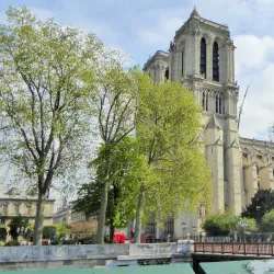 Notre-Dame Cathedral - Paris