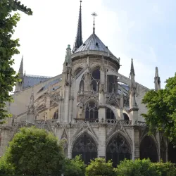 Notre-Dame Cathedral - Paris