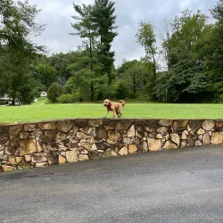 Pikeville Golf Club - Pikeville