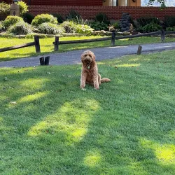 Pikeville Golf Club - Pikeville