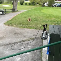 Pikeville Golf Club - Pikeville