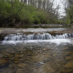 Doe Run Lake Park - Radcliff