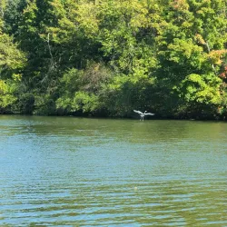 Doe Run Lake Park - Radcliff