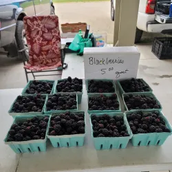 Radcliff Farmers Market - Radcliff