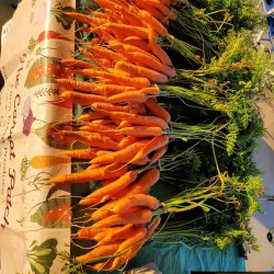 Radcliff Farmers Market - Radcliff