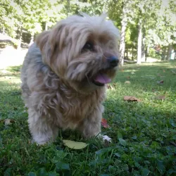 Radcliff Skate Park - Radcliff