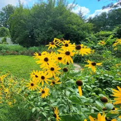 Eastern Kentucky University Arboretum - Richmond