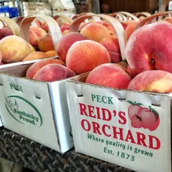 Reid's Orchard - Richmond