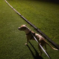 Richmond City Park - Richmond