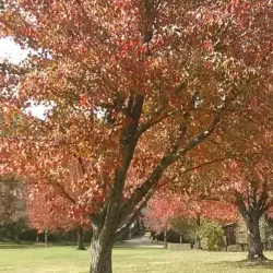 Somerset Historical Center - Somerset