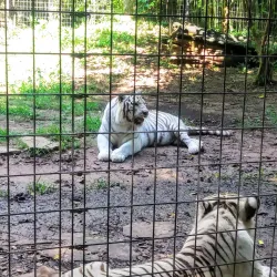 Alexandria Botanical Gardens - Alexandria