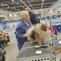 Alexandria Riverfront Center - Alexandria