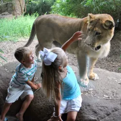 Alexandria Zoological Park - Alexandria