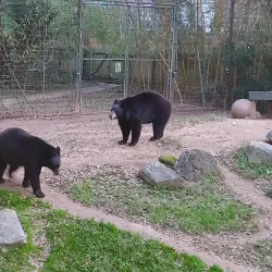 Alexandria Zoological Park - Alexandria