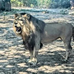 Alexandria Zoological Park - Alexandria