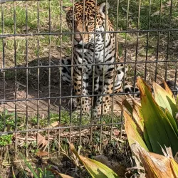 Alexandria Zoological Park - Alexandria