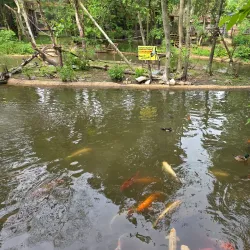 Alexandria Zoological Park - Alexandria