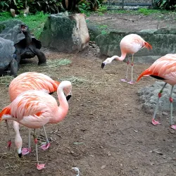 Alexandria Zoological Park - Alexandria