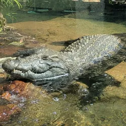 Alexandria Zoological Park - Alexandria