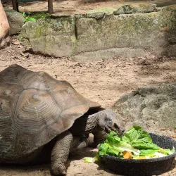 Alexandria Zoological Park - Alexandria