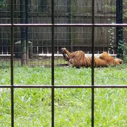 Alexandria Zoological Park - Alexandria